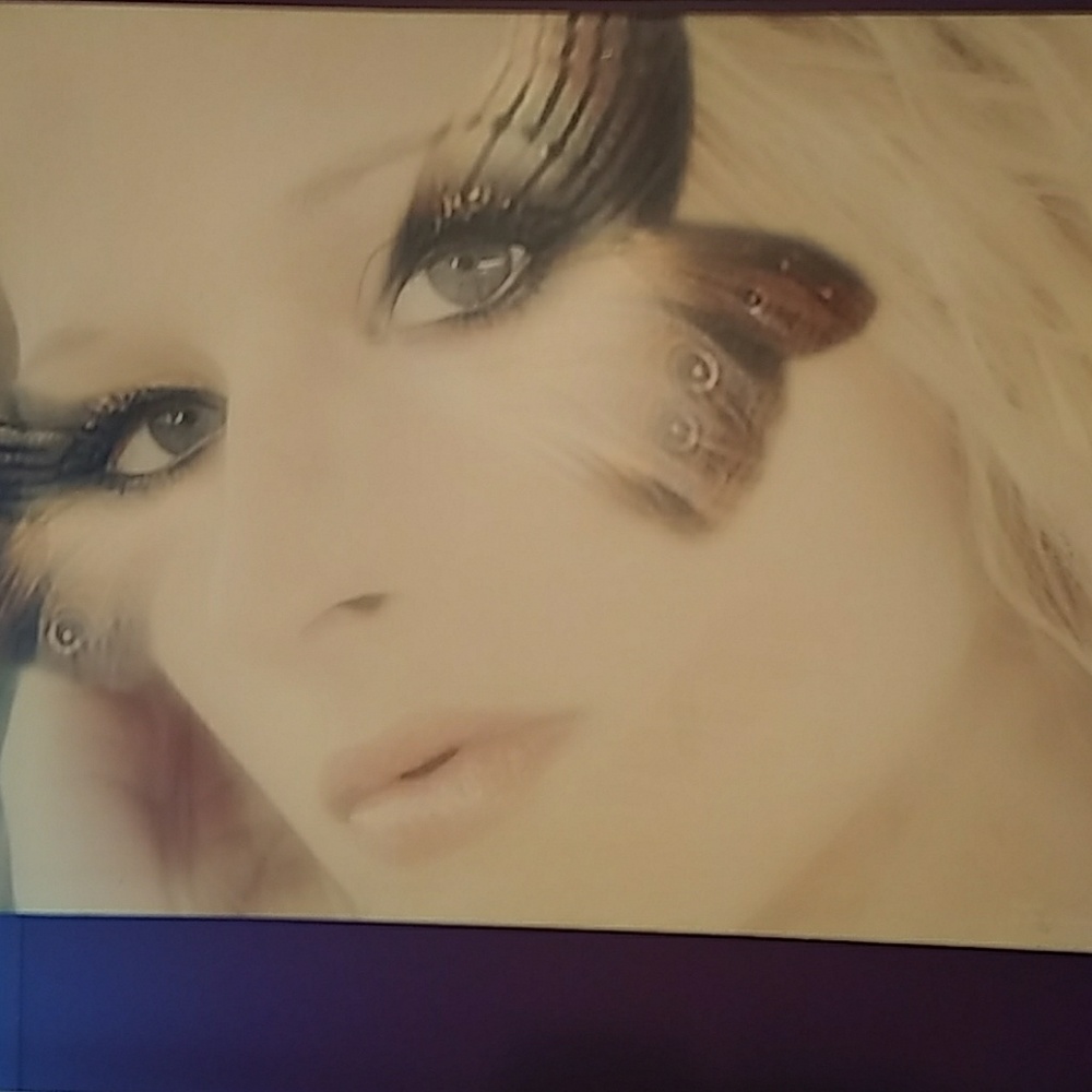 A beautiful picture on canves